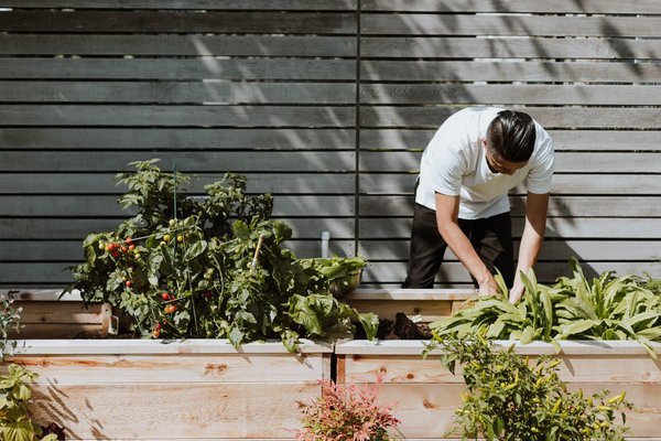 comment créer un potager sur son balcon